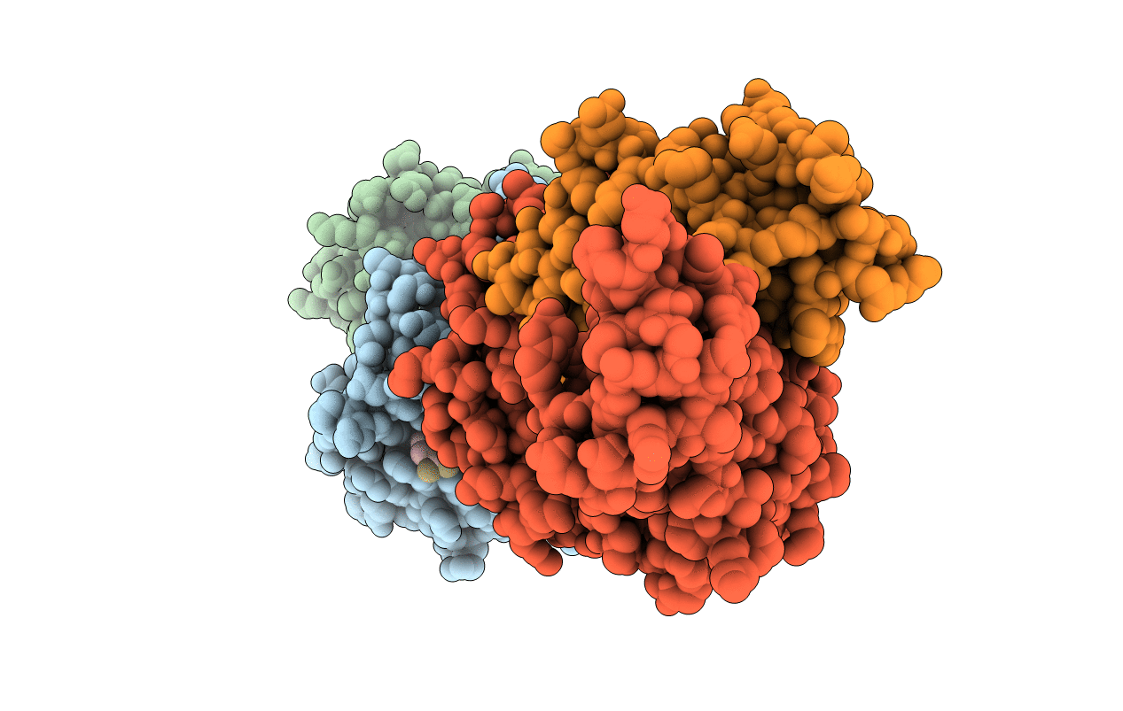 7N1B image