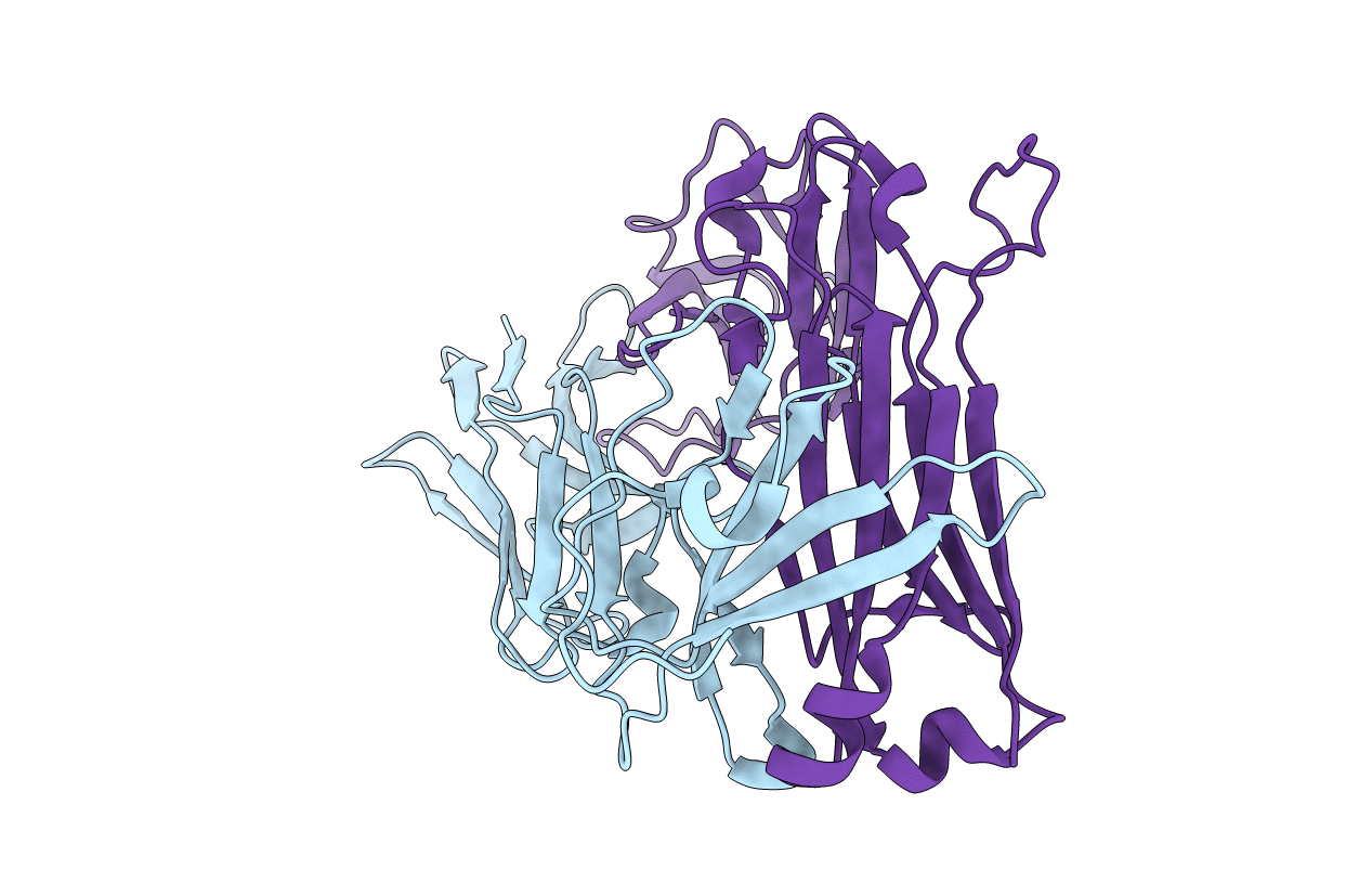 7N1C image