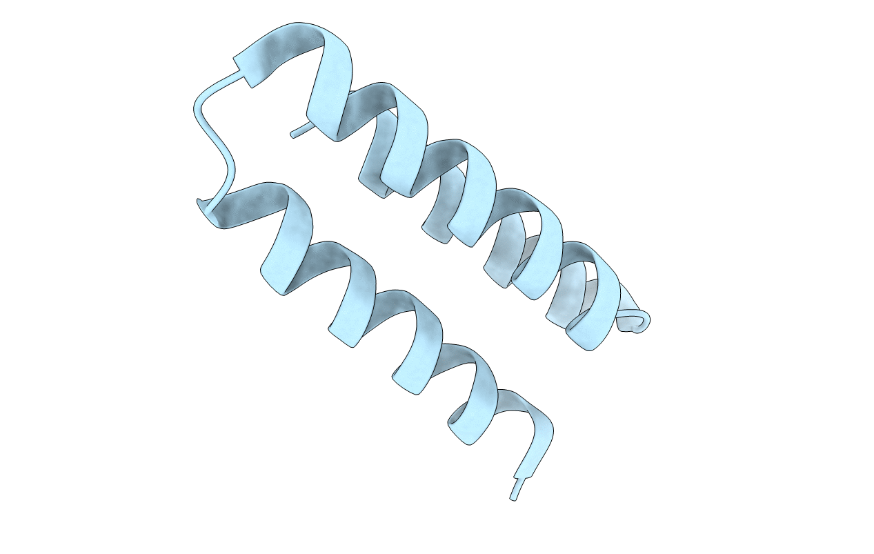 7N1K image