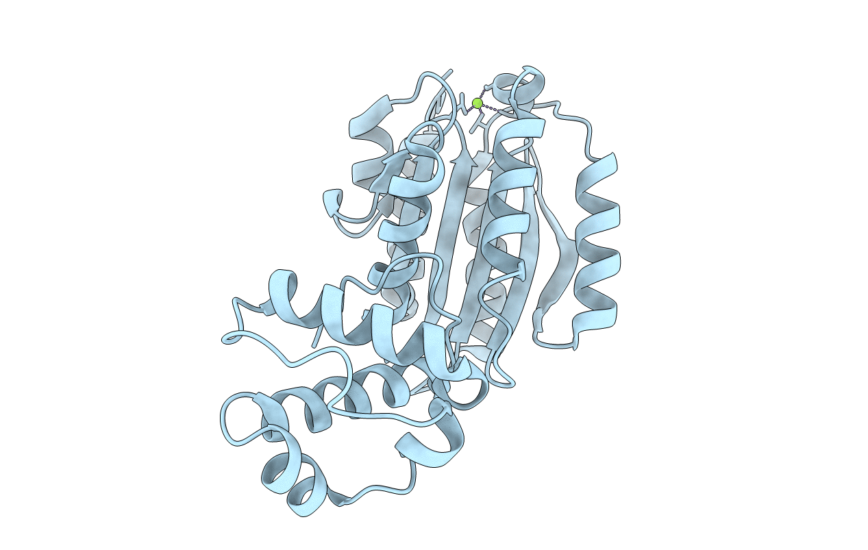 7N1O image