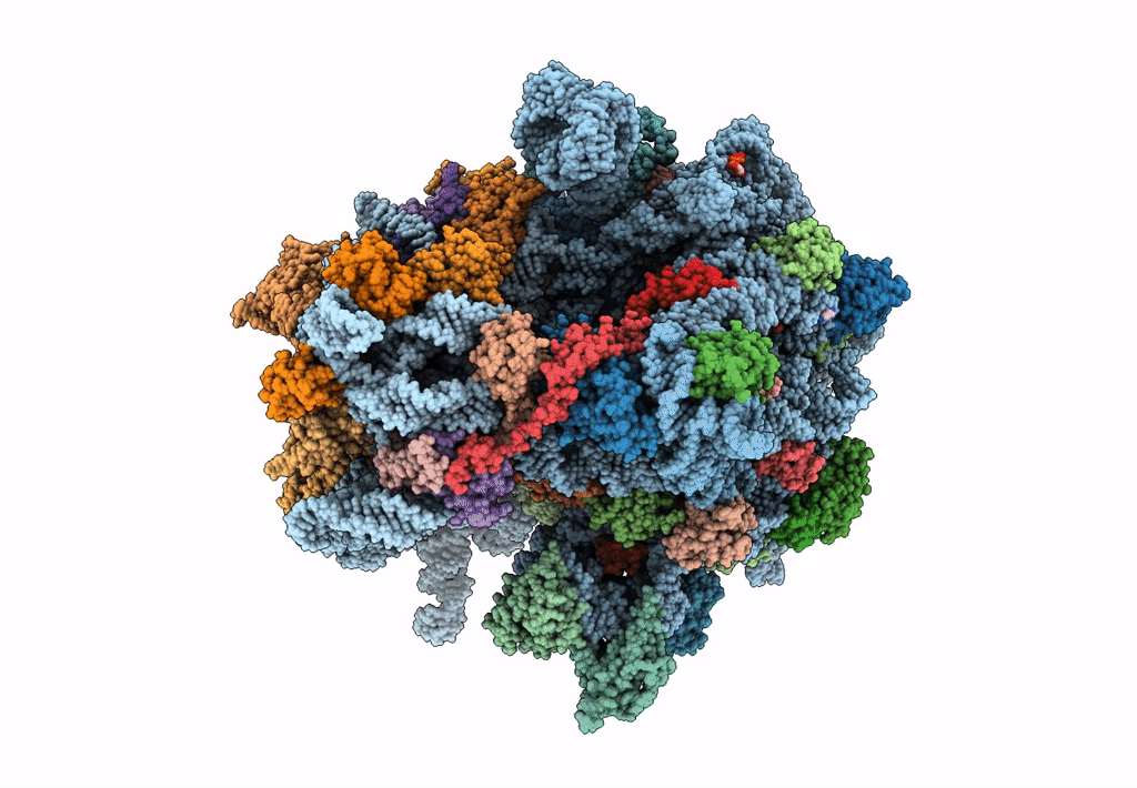 7N1P image