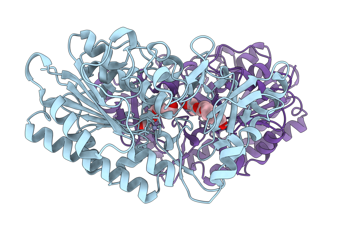 7N1S image