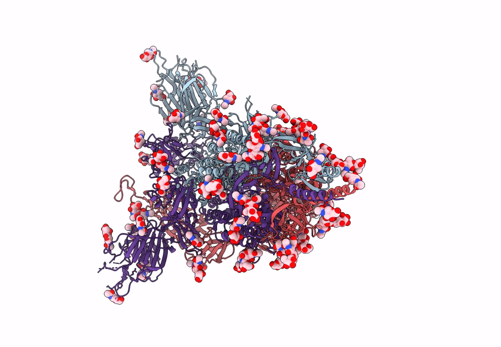 7N1X image
