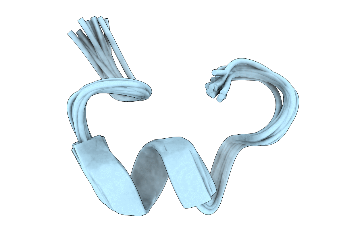 7N1Z image