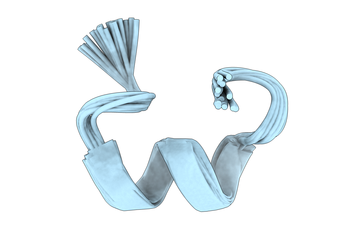 7N24 image