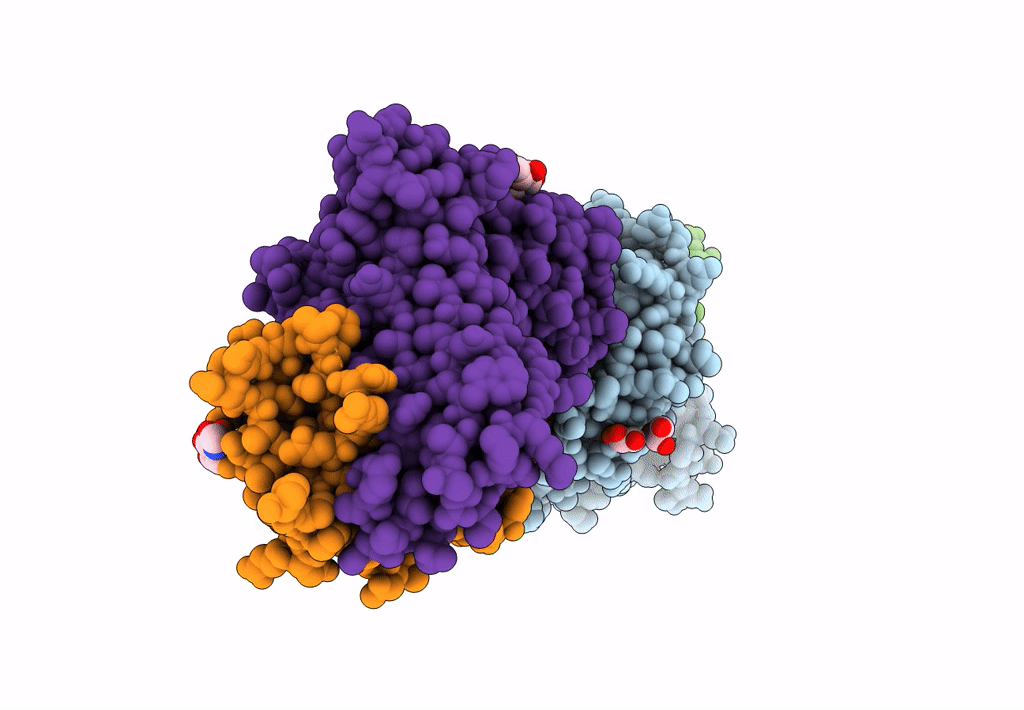 7N2P image