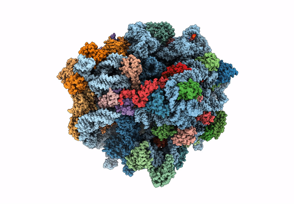 7N2V image