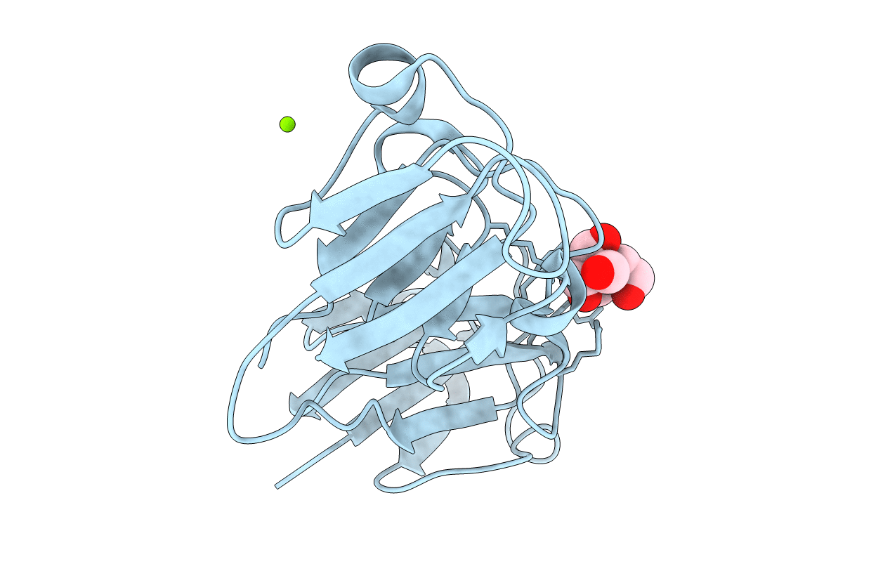 7N37 image