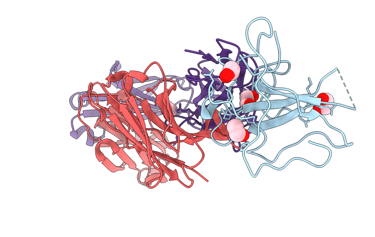 7N3D image