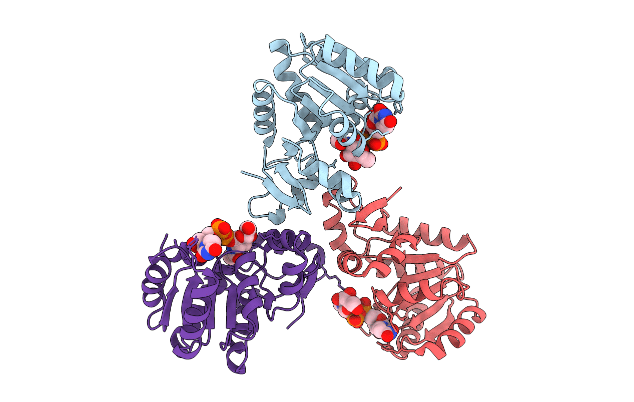7N41 image