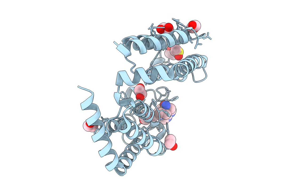7N42 image