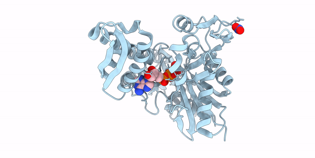 7N46 image