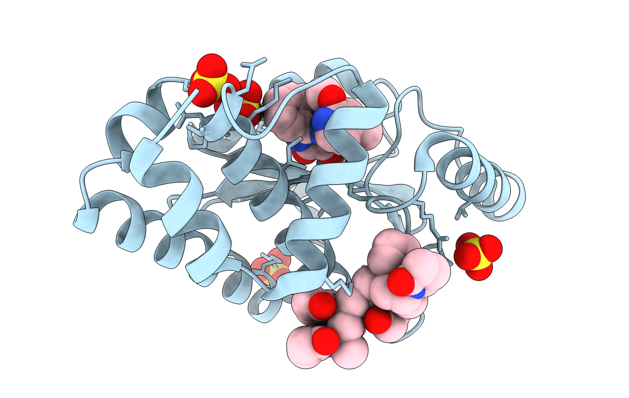 7N47 image