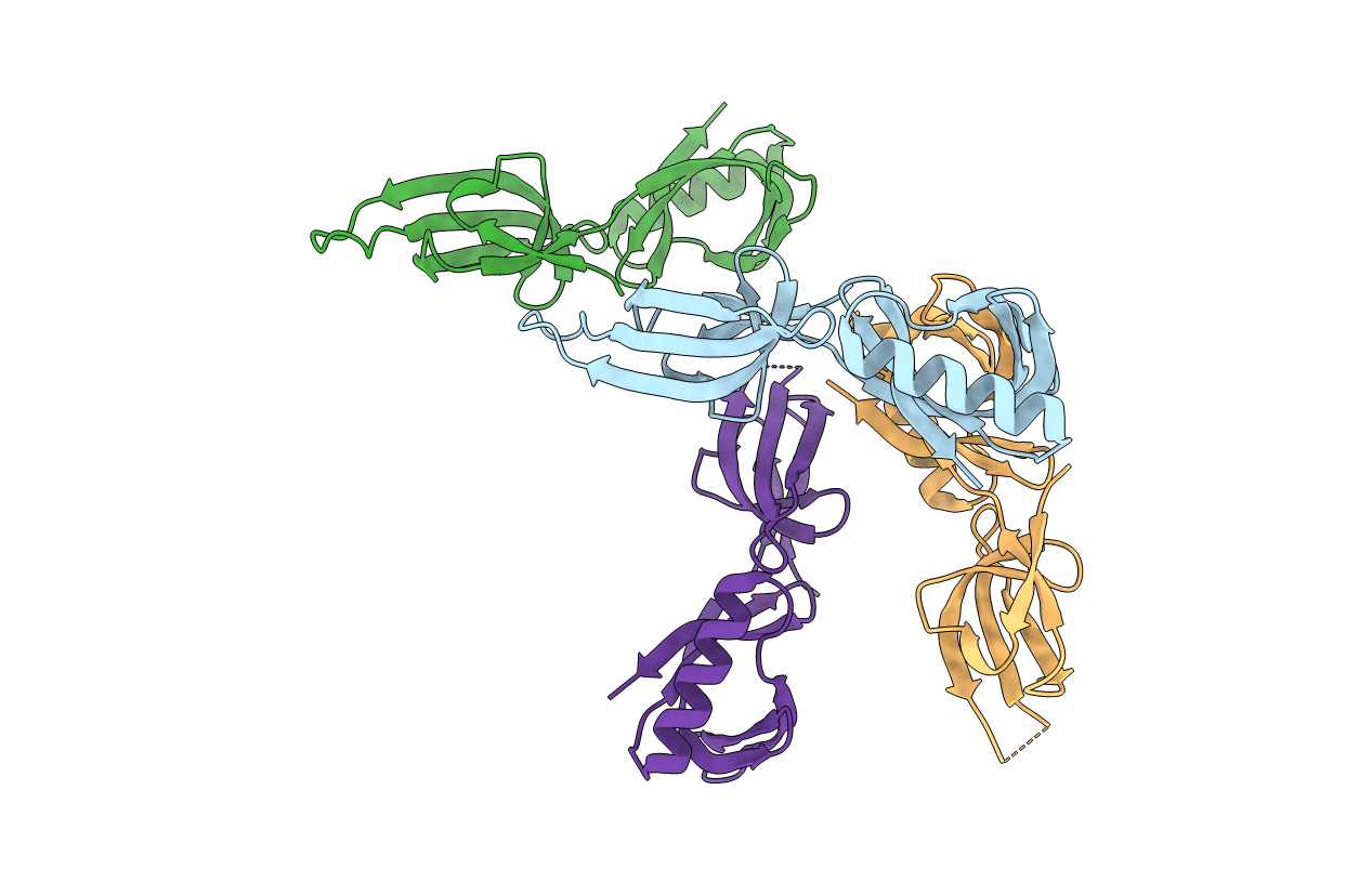 7N4D image