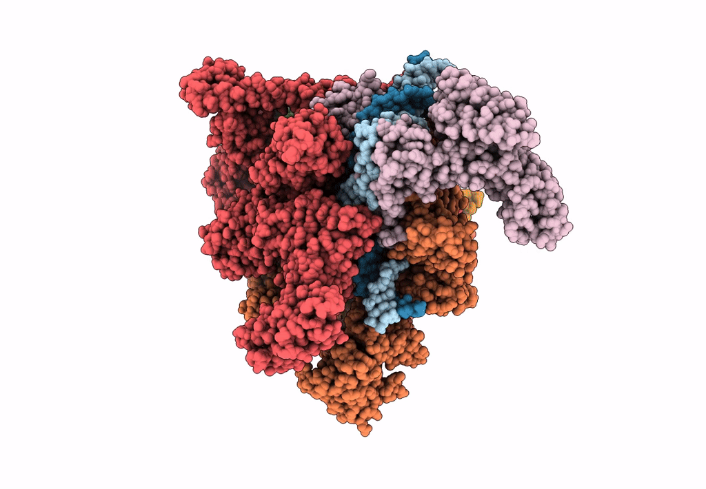 7N4E image