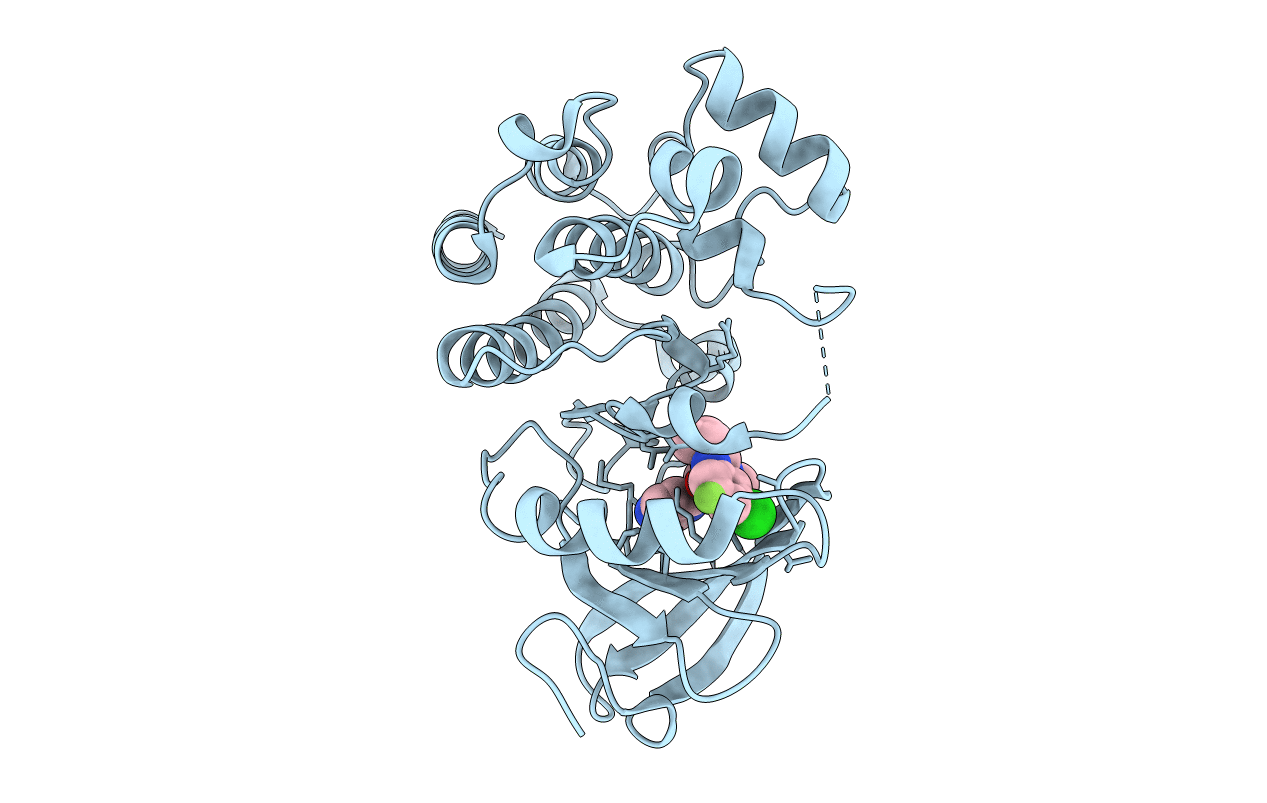 7N4Q image