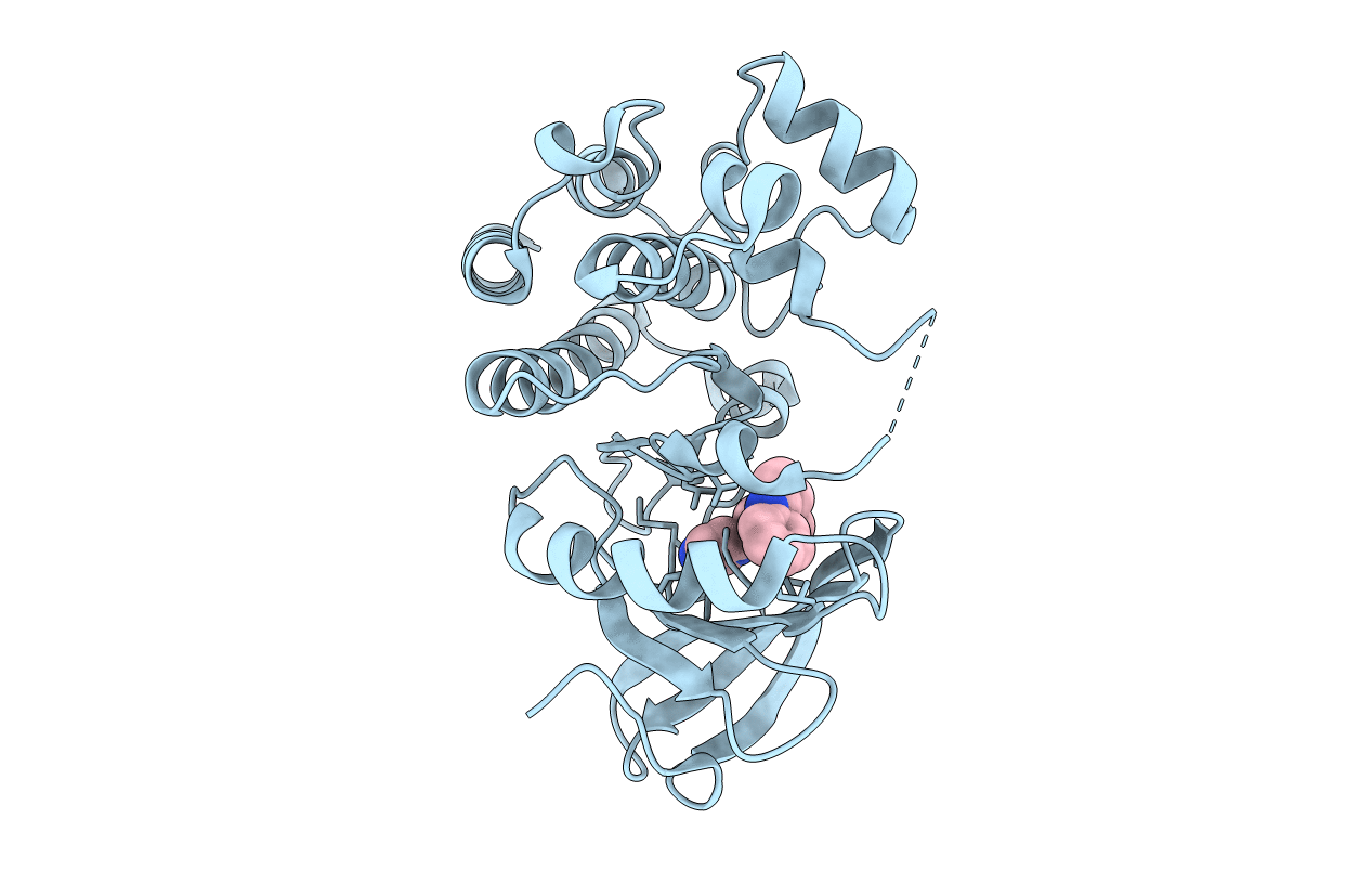 7N4S image