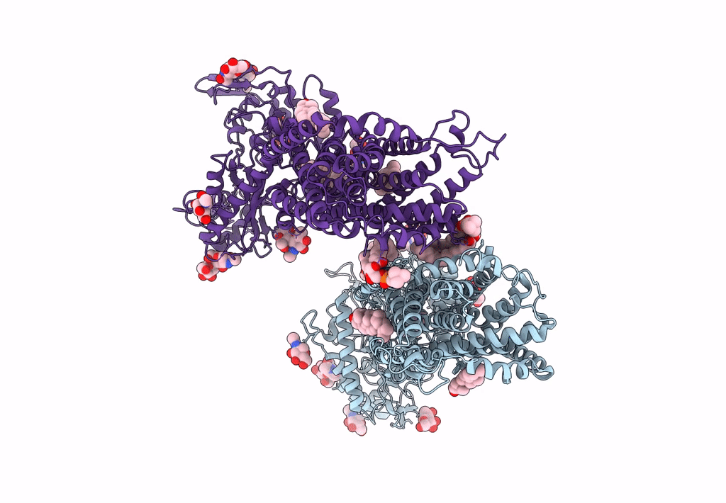 7N4V image