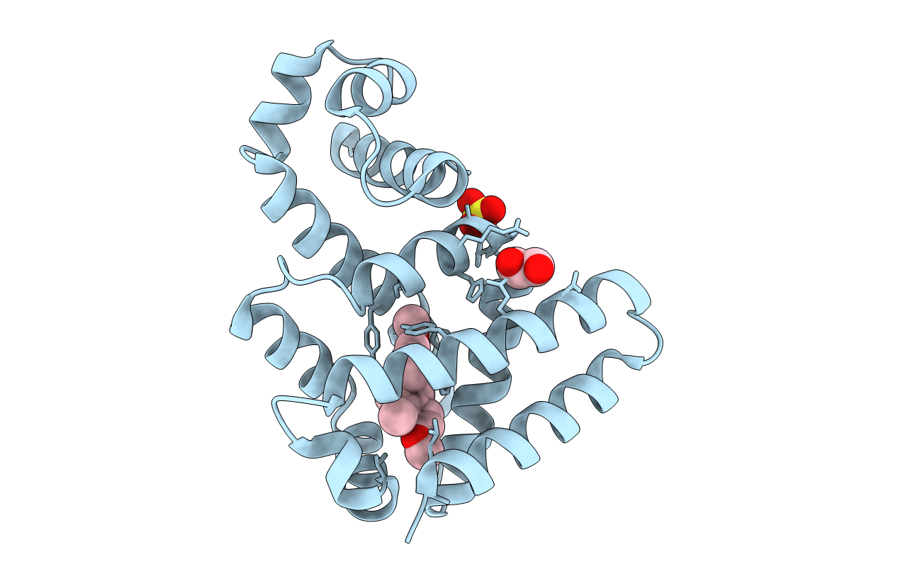 7N4W image