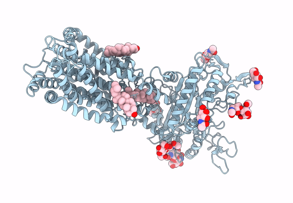 7N4X image