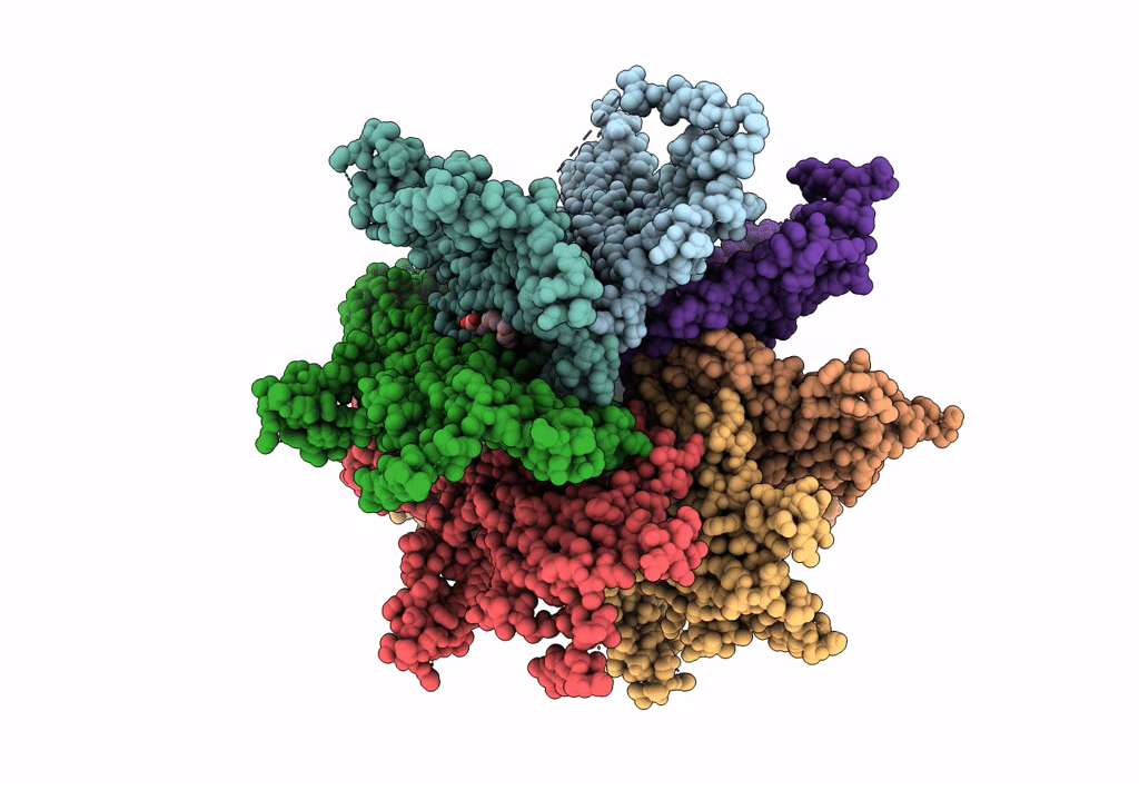 7N5D image