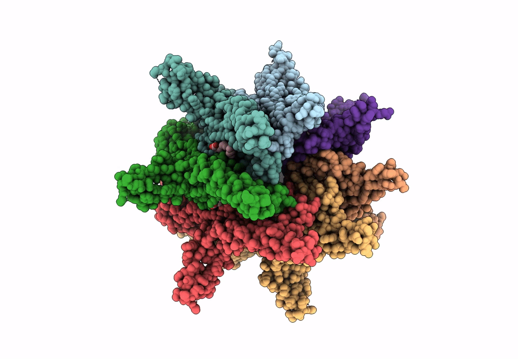 7N5E image