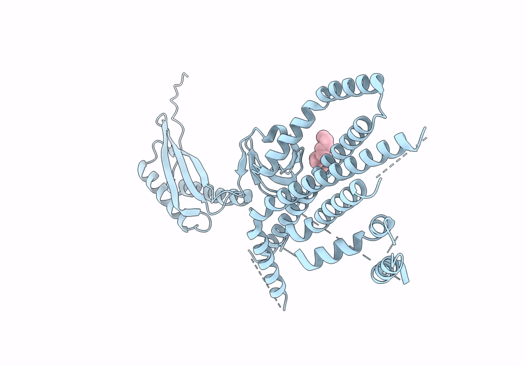 7N5F image