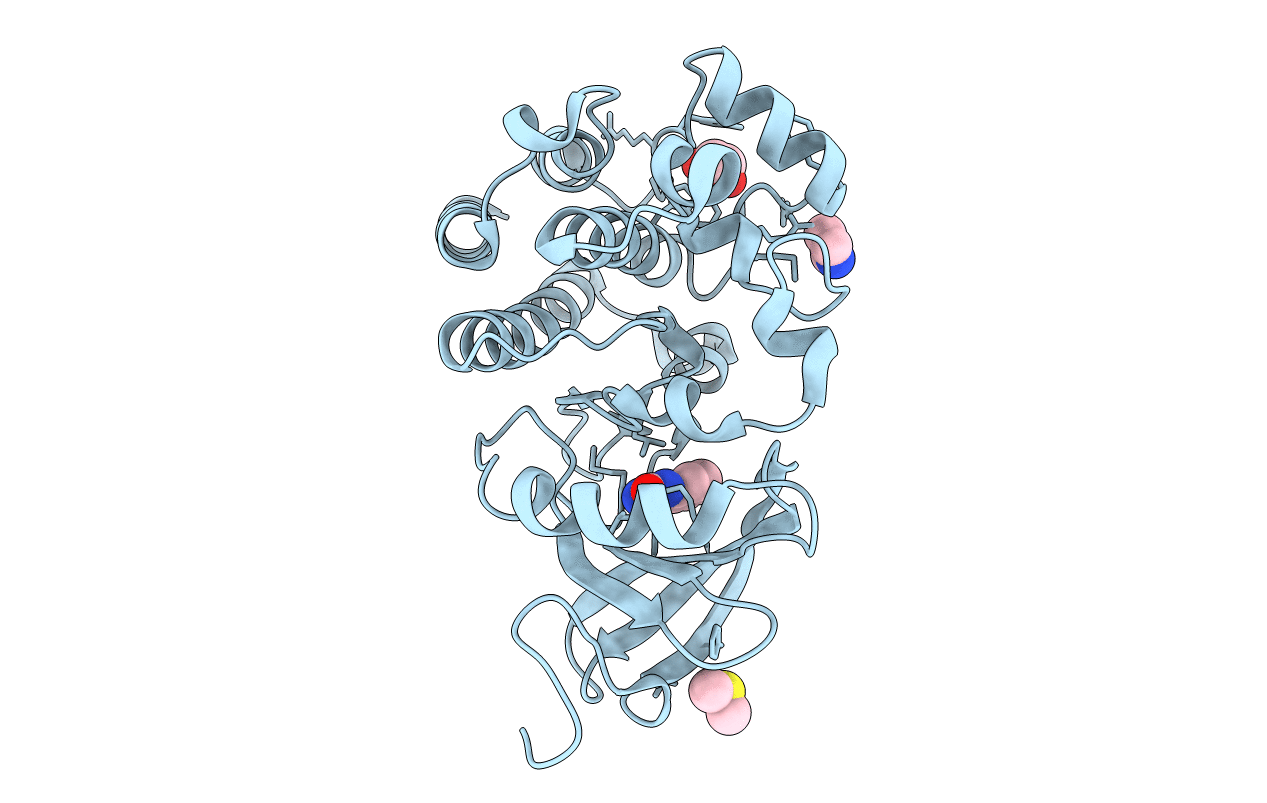7N5R image