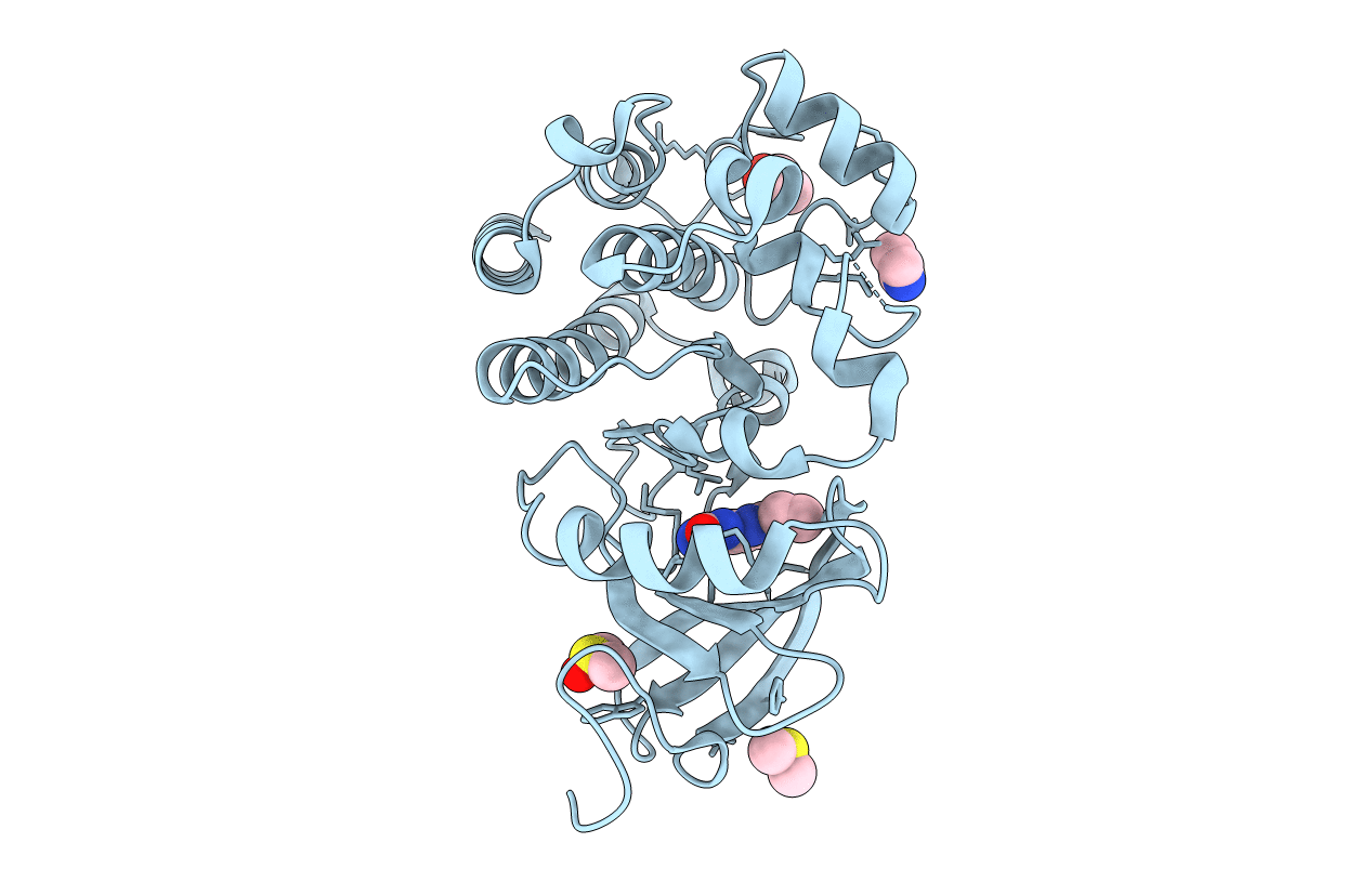7N5X image