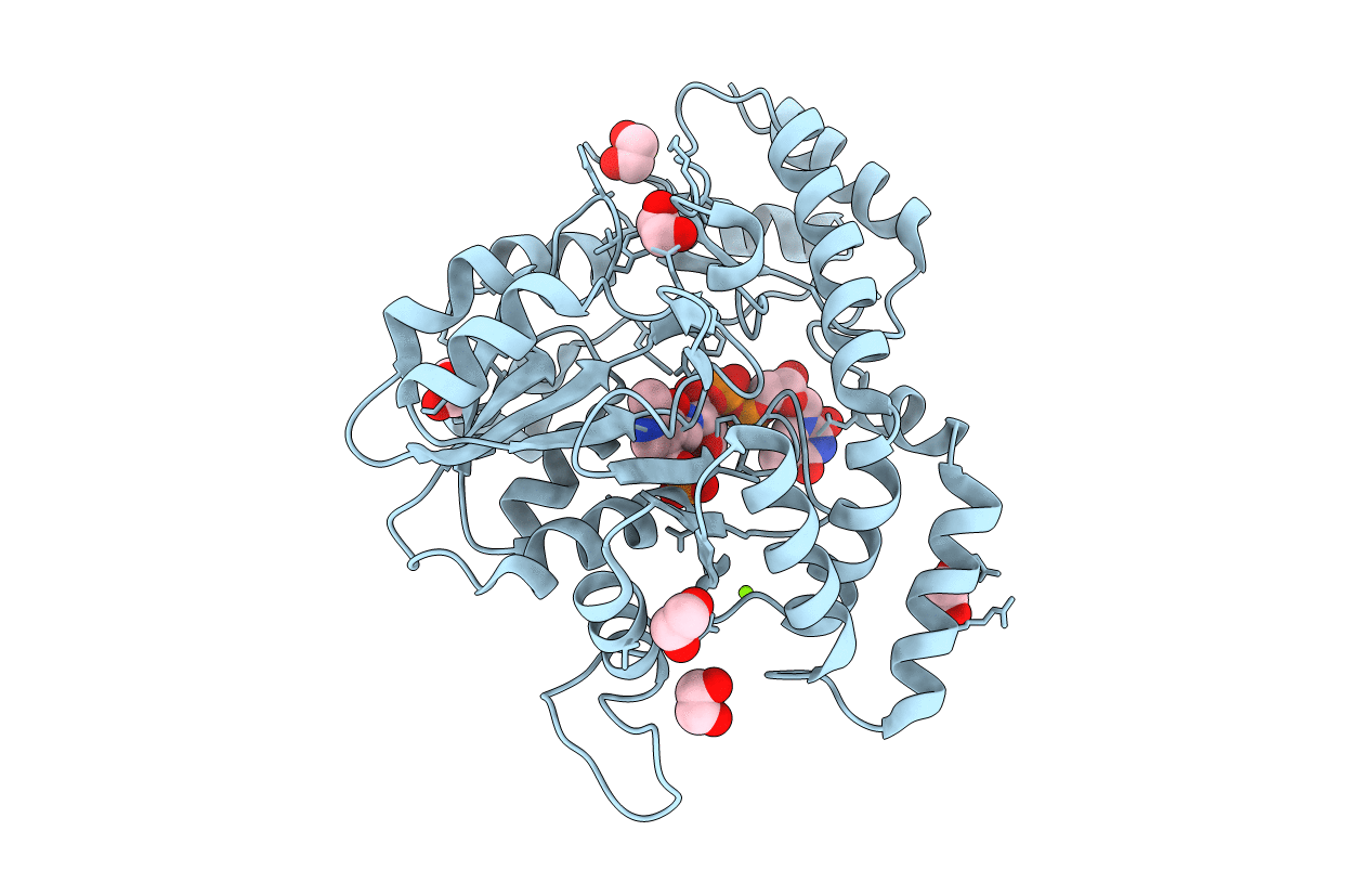 7N63 image