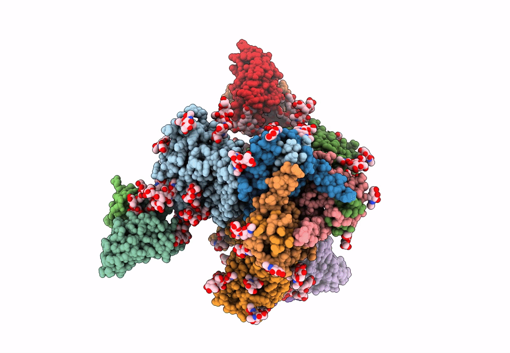 7N65 image