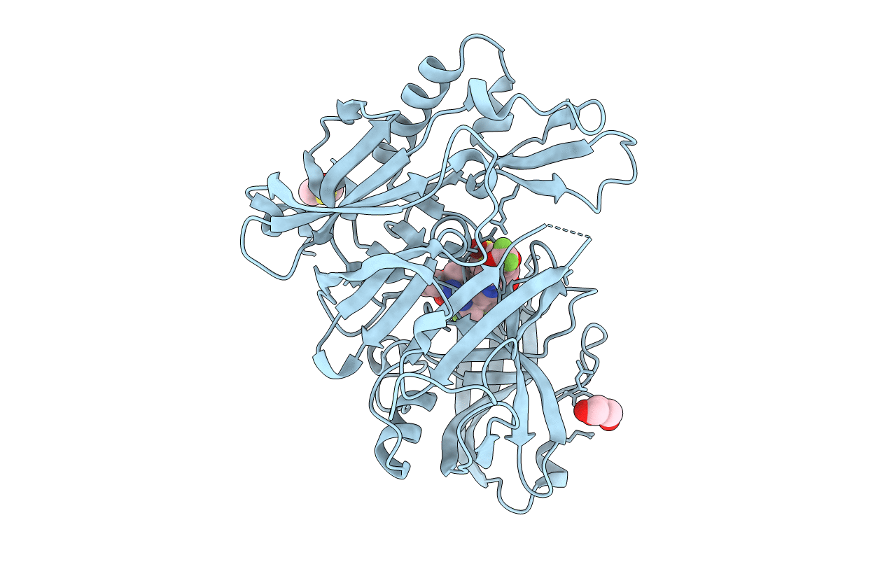 7N66 image