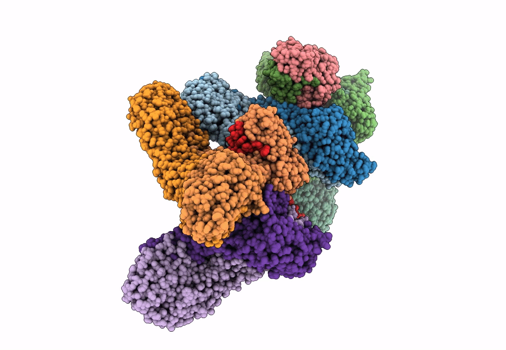7N6A image