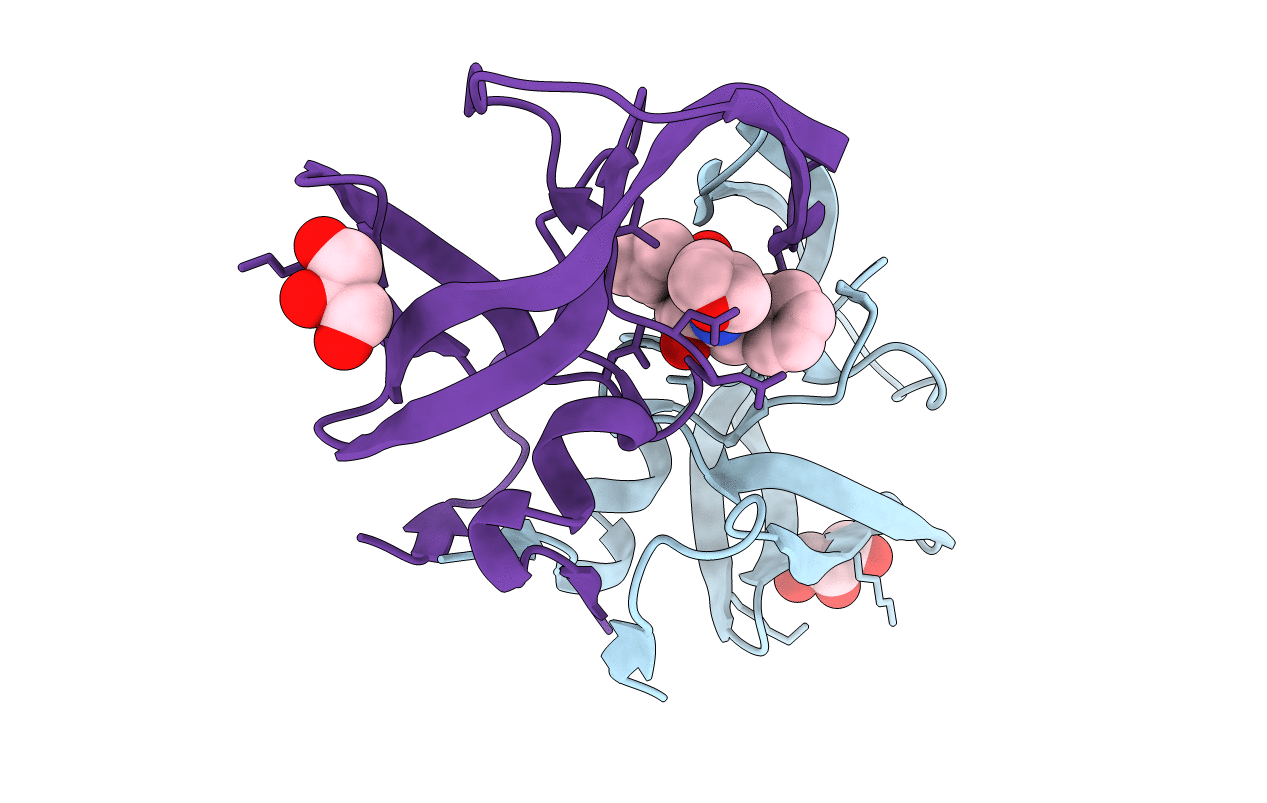 7N6V image