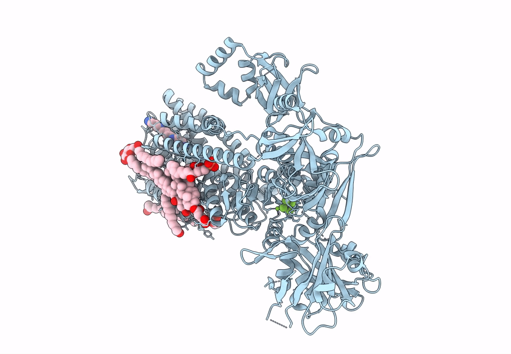 7N72 image
