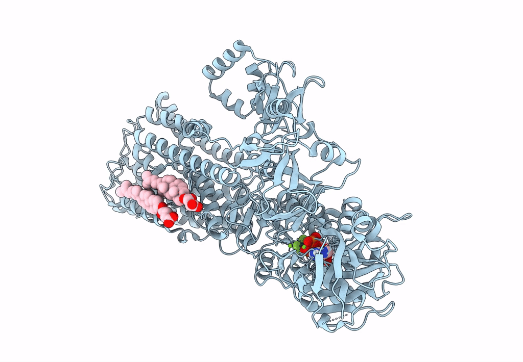 7N73 image