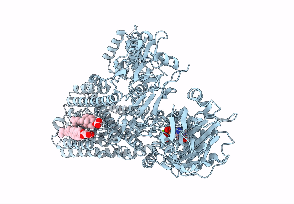 7N74 image