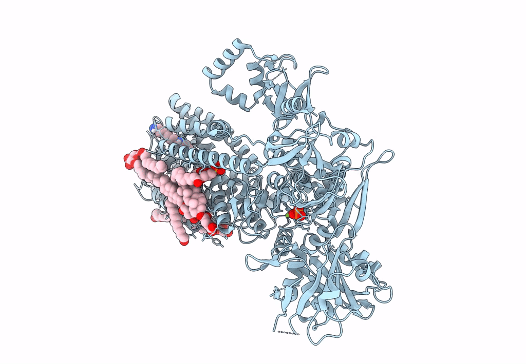 7N78 image