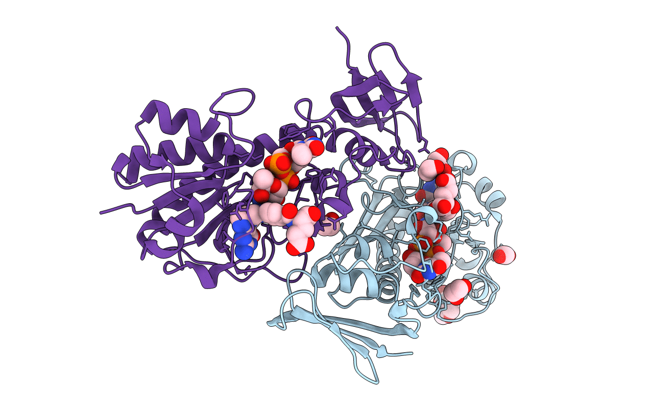 7N7B image