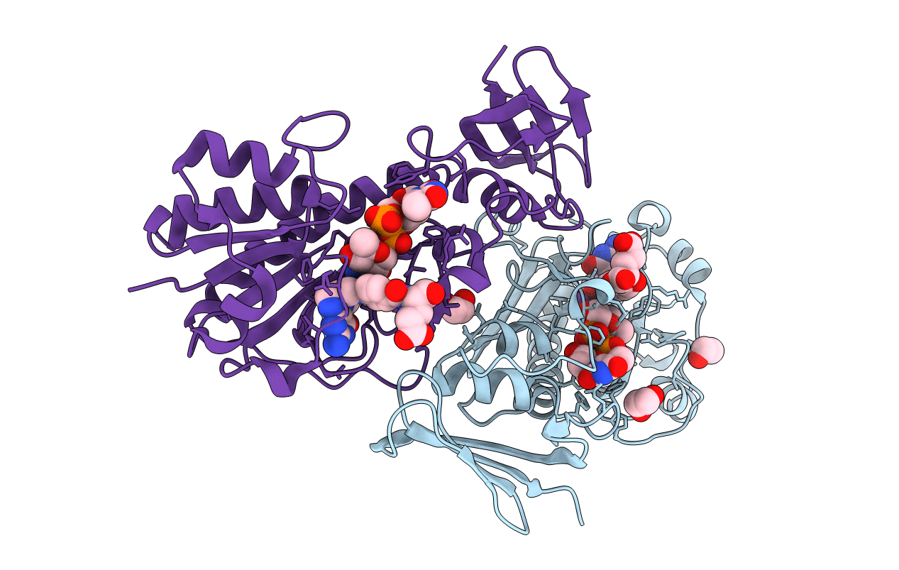 7N7C image