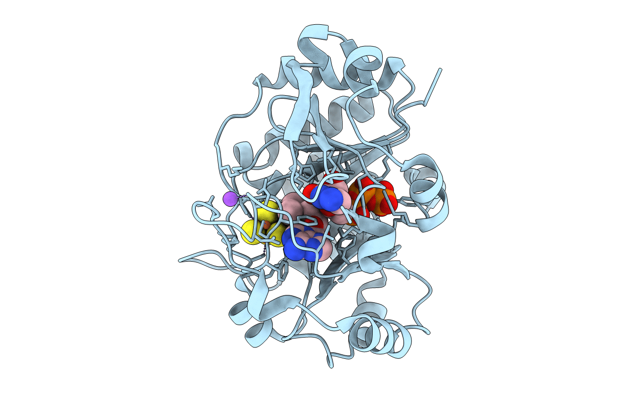 7N7H image