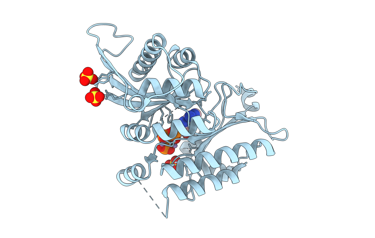 7N7J image