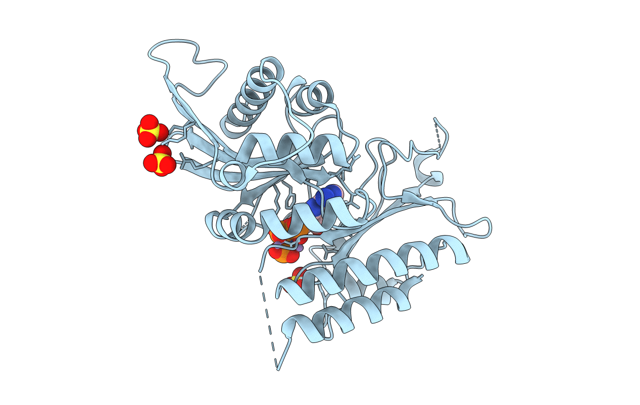 7N7K image
