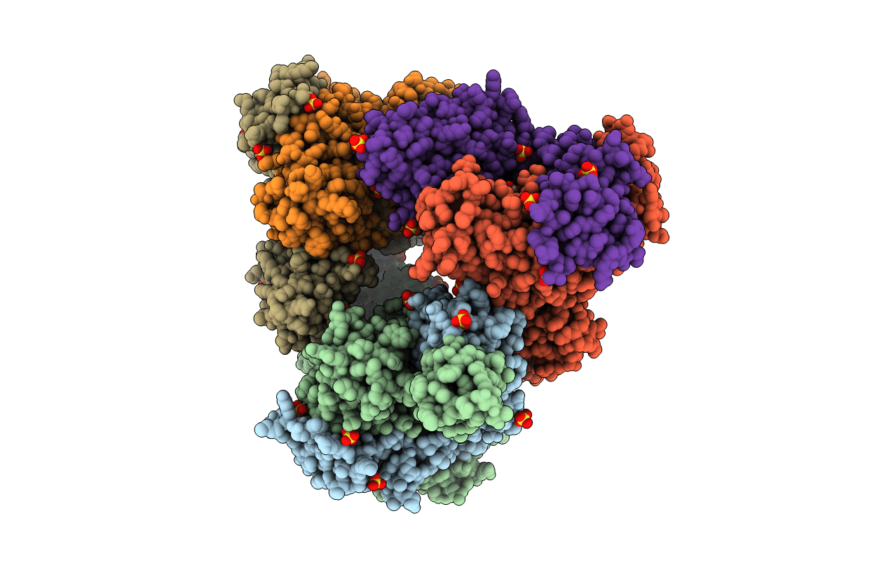 7N7S image