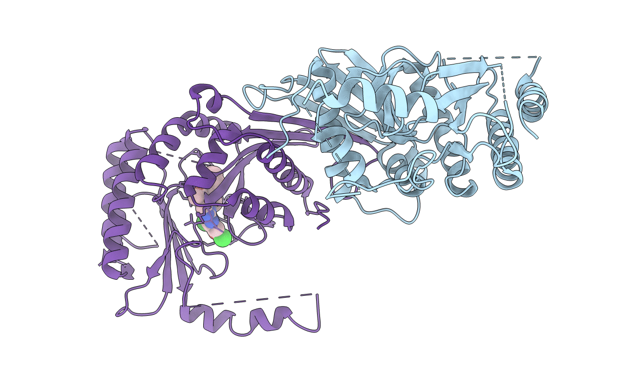 7N81 image