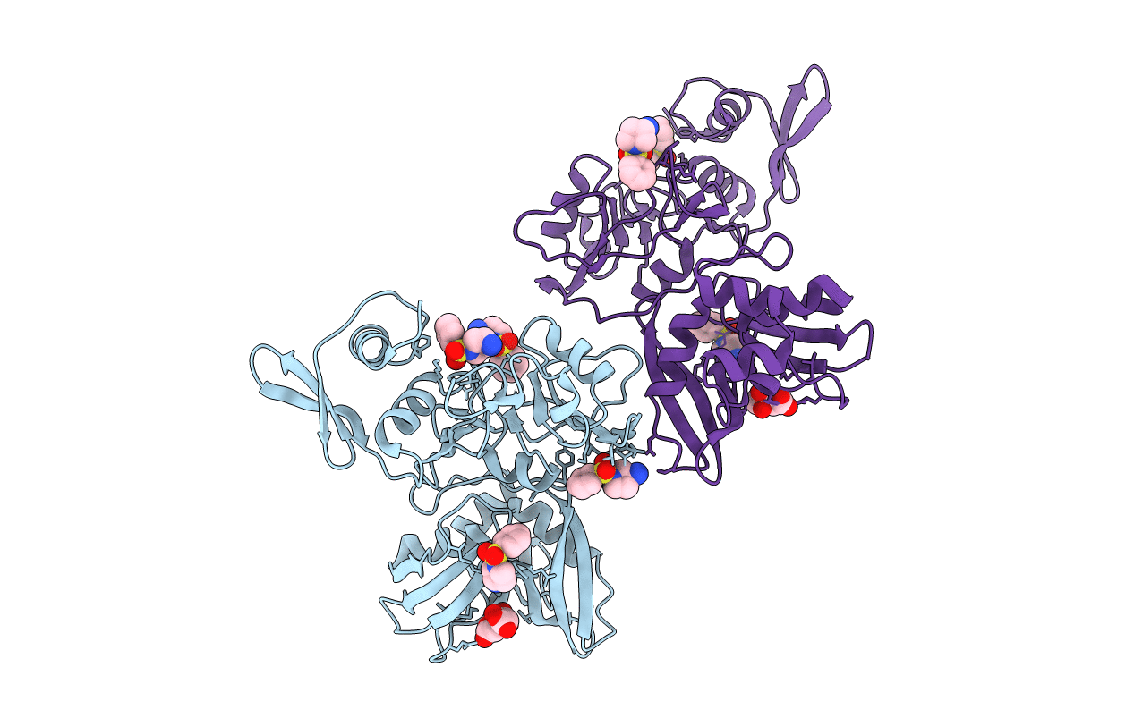 7N83 image