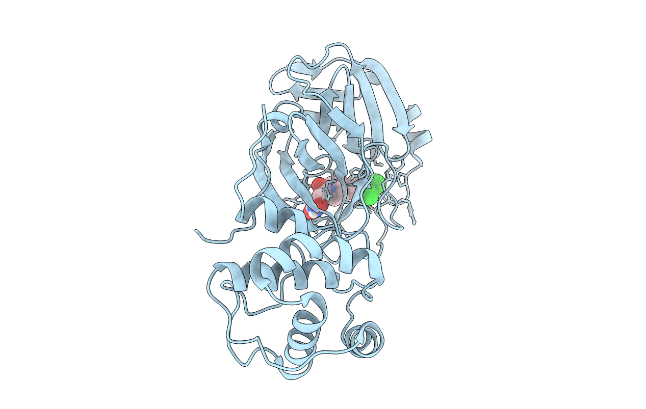 7N8C image