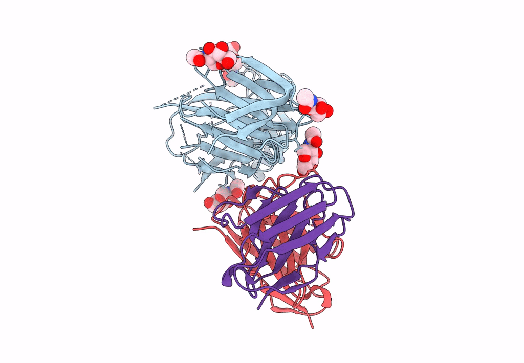 7N8I image