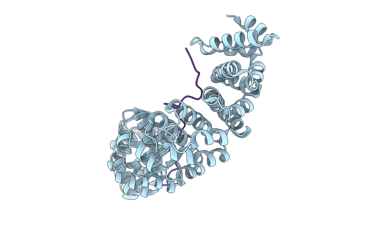 7N8J image