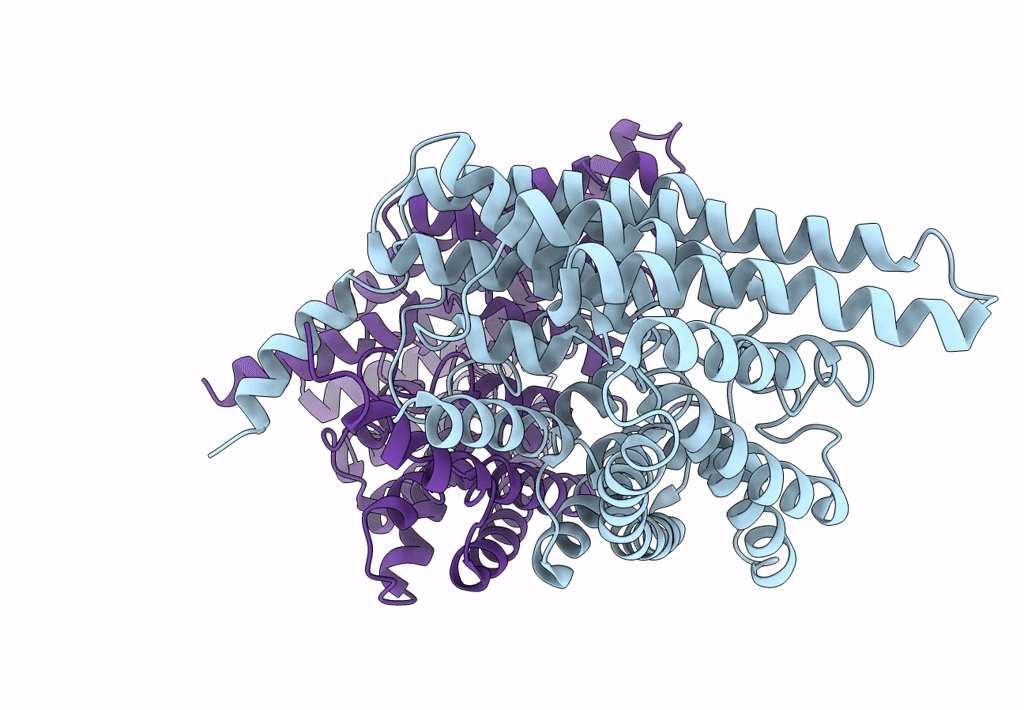 7N8P image